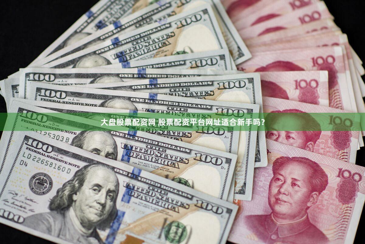 大盘股票配资网 股票配资平台网址适合新手吗？
