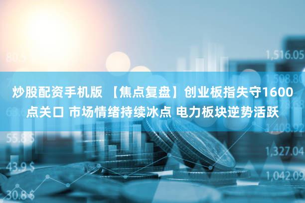 炒股配资手机版 【焦点复盘】创业板指失守1600点关口 市场情绪持续冰点 电力板块逆势活跃