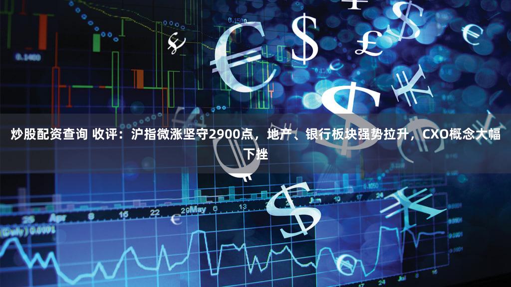 炒股配资查询 收评：沪指微涨坚守2900点，地产、银行板块强势拉升，CXO概念大幅下挫