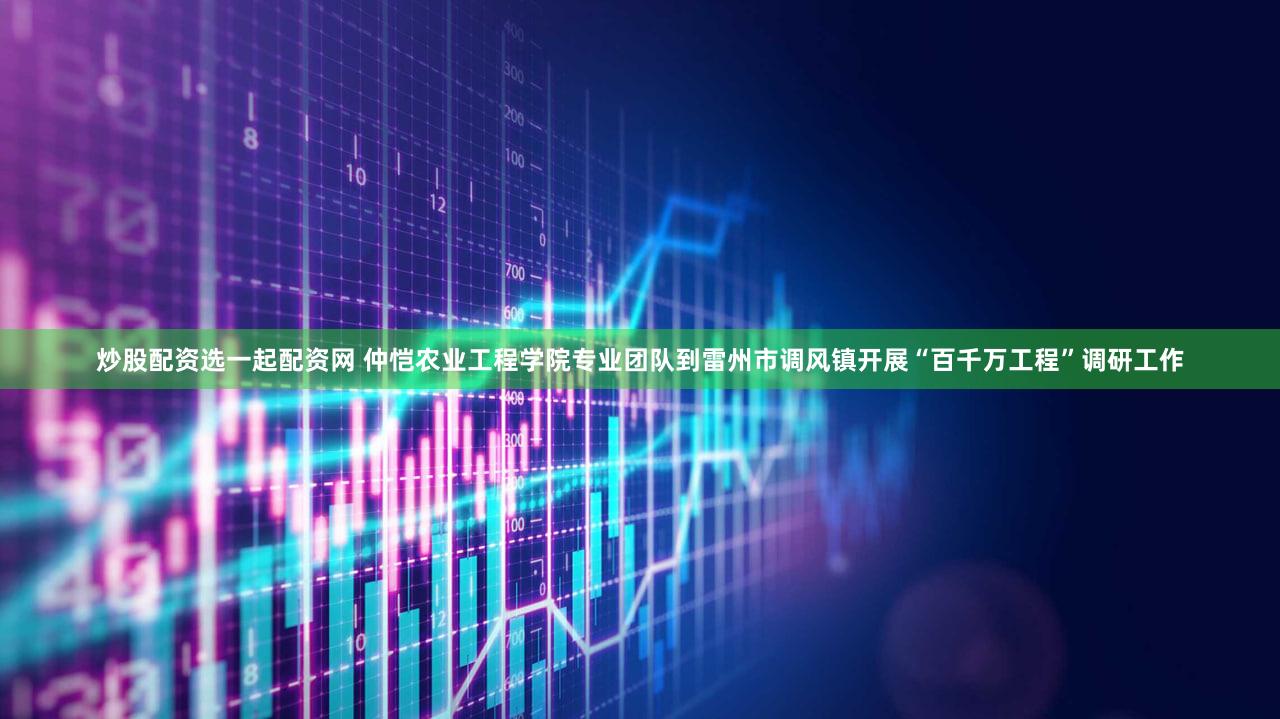 炒股配资选一起配资网 仲恺农业工程学院专业团队到雷州市调风镇开展“百千万工程”调研工作