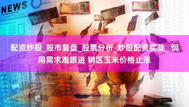配资炒股_股市复盘_股票分析_炒股配资实战_ 饲用需求难跟进 销区玉米价格止涨