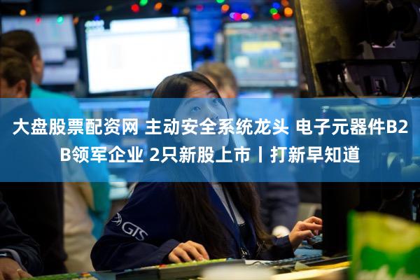 大盘股票配资网 主动安全系统龙头 电子元器件B2B领军企业 2只新股上市丨打新早知道