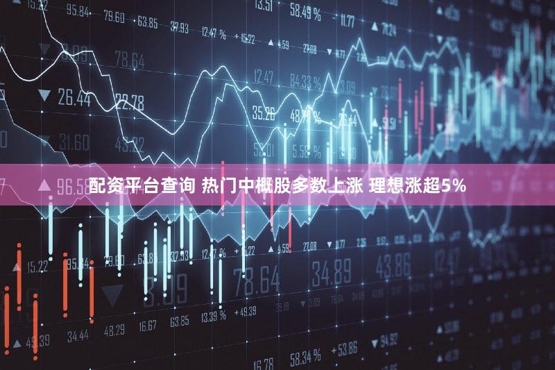 配资平台查询 热门中概股多数上涨 理想涨超5%