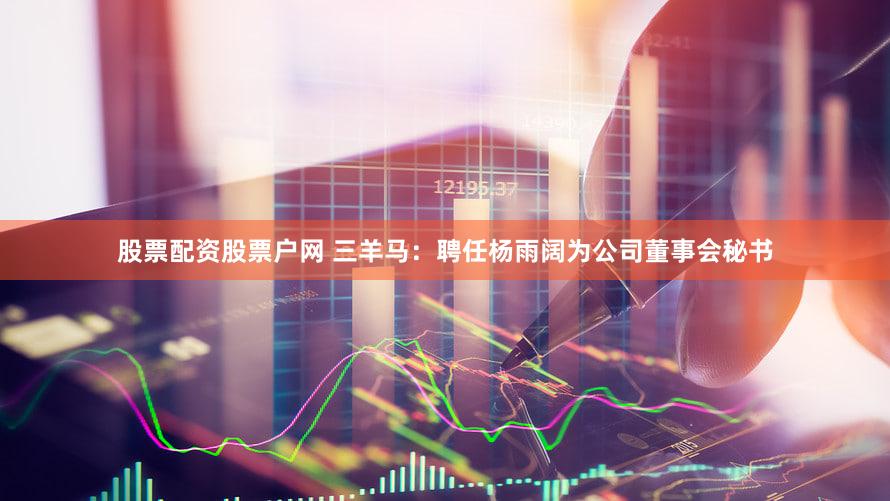 股票配资股票户网 三羊马：聘任杨雨阔为公司董事会秘书