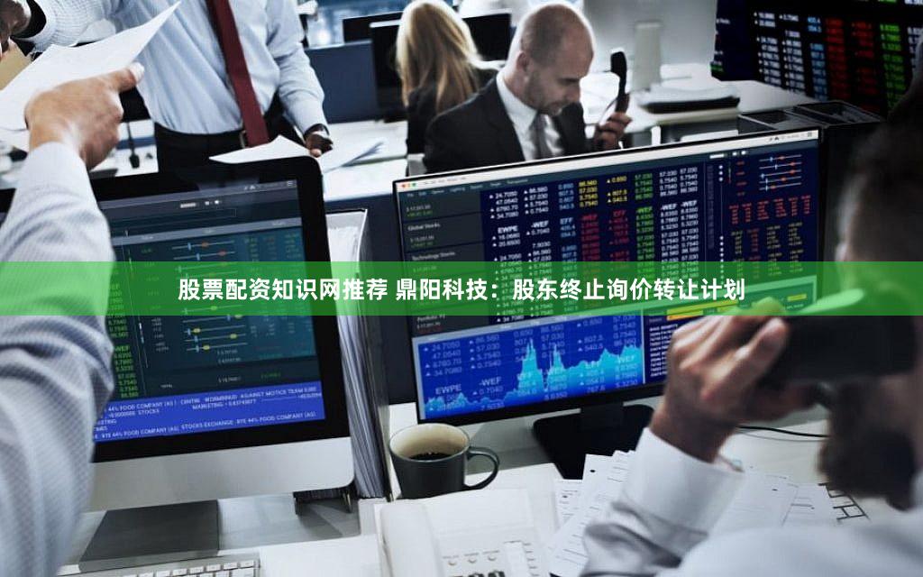 股票配资知识网推荐 鼎阳科技：股东终止询价转让计划