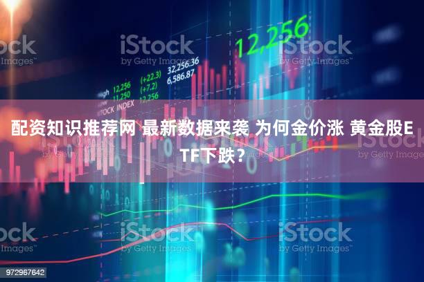 配资知识推荐网 最新数据来袭 为何金价涨 黄金股ETF下跌？