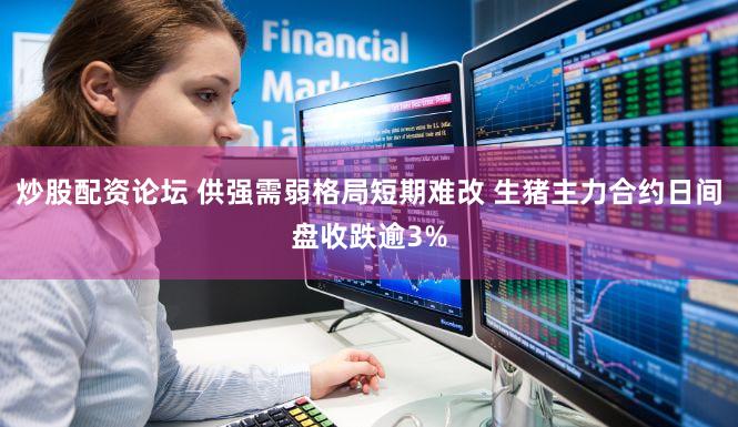 炒股配资论坛 供强需弱格局短期难改 生猪主力合约日间盘收跌逾3%