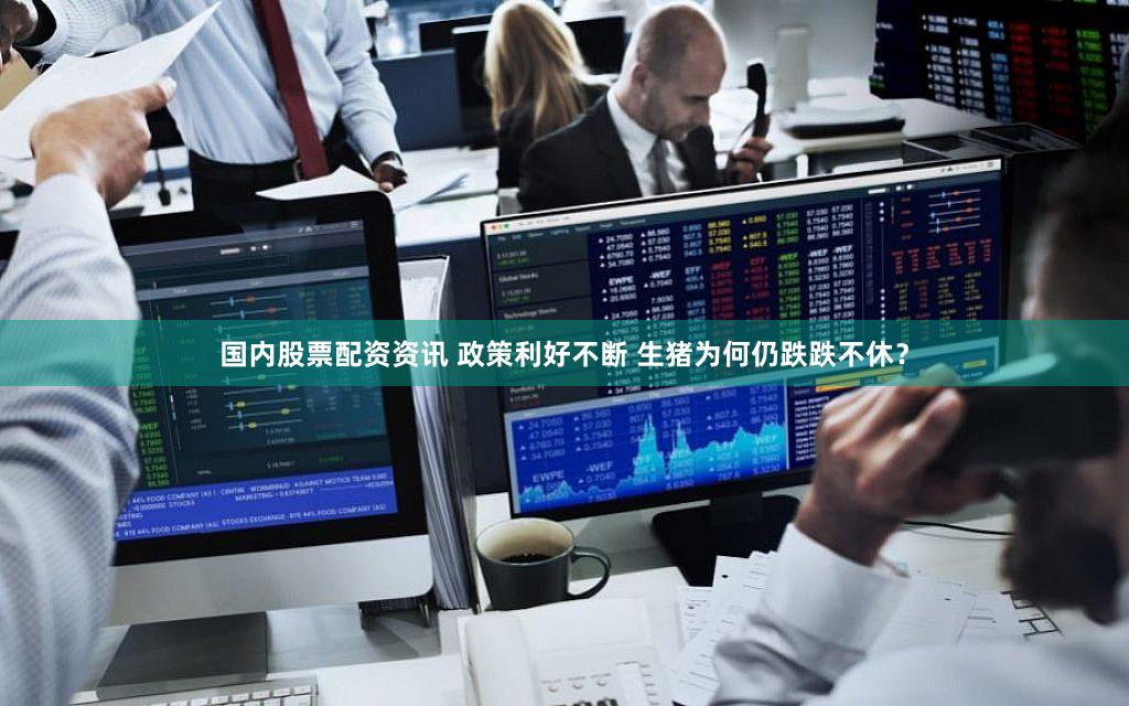 国内股票配资资讯 政策利好不断 生猪为何仍跌跌不休？