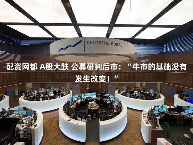 配资网都 A股大跌 公募研判后市：“牛市的基础没有发生改变！”
