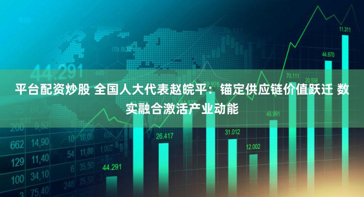 平台配资炒股 全国人大代表赵皖平：锚定供应链价值跃迁 数实融合激活产业动能