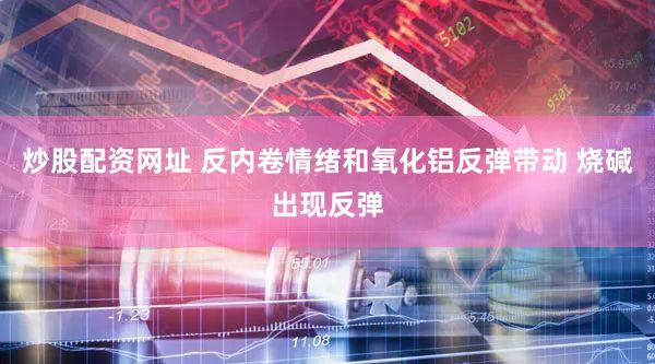 炒股配资网址 反内卷情绪和氧化铝反弹带动 烧碱出现反弹