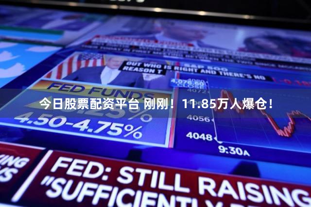 今日股票配资平台 刚刚!11.85万人爆仓!