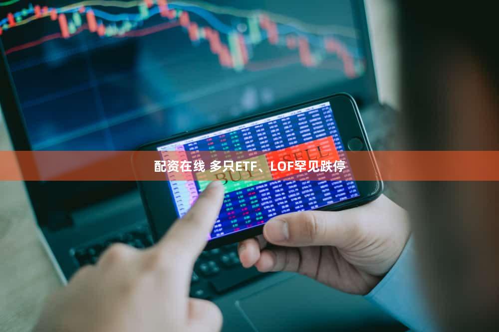 配资在线 多只ETF、LOF罕见跌停
