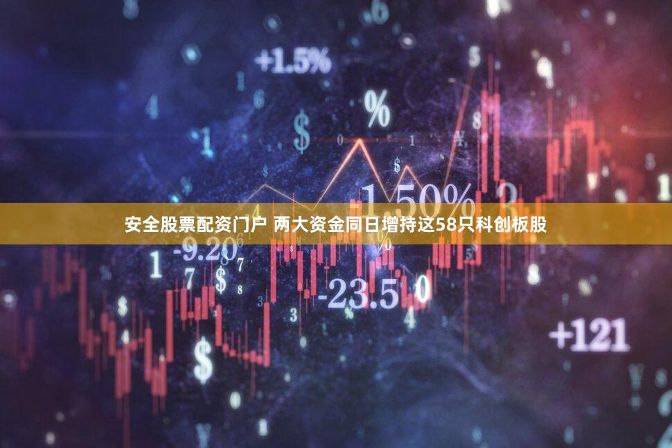 安全股票配资门户 两大资金同日增持这58只科创板股